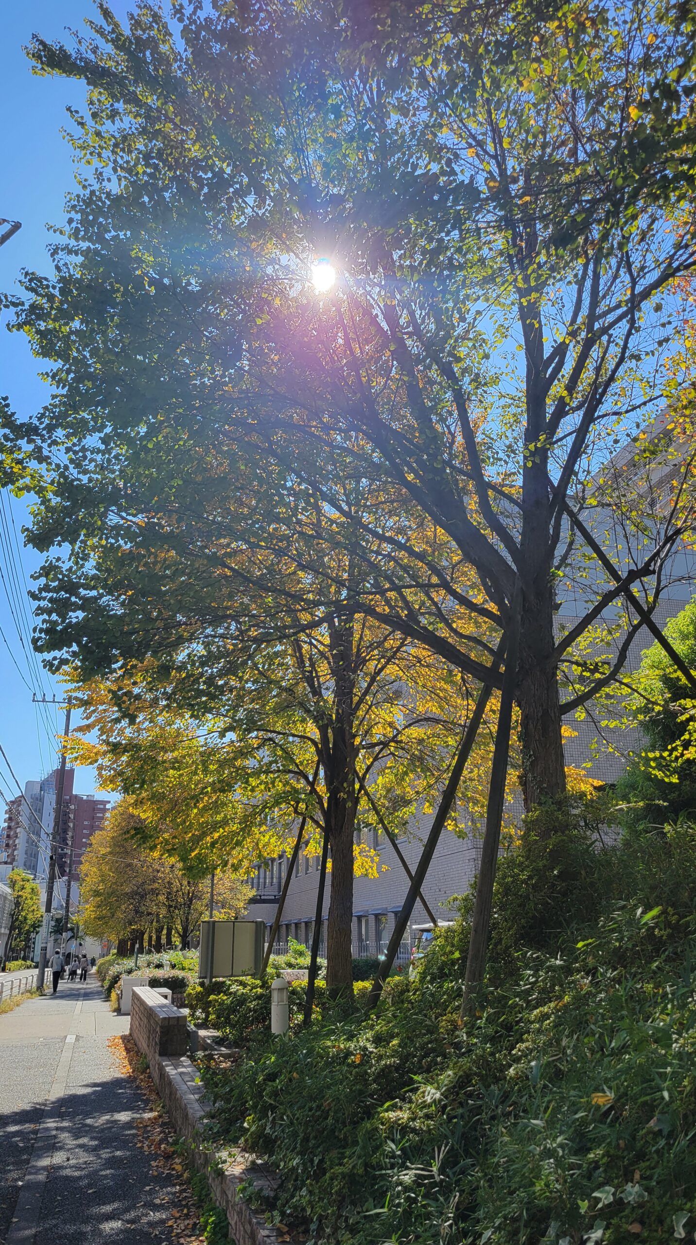 ☆お一日参り☆白金台・爪を育てるネイルサロンリヒロ☆
